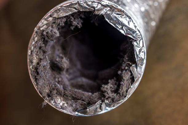 Best Duct Cleaning Specialists  in Leesburg, GA